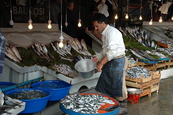 Am Ende der Galatabrücke im Stadtteil BeyoGlu gibt es frischen Fisch zu kaufen