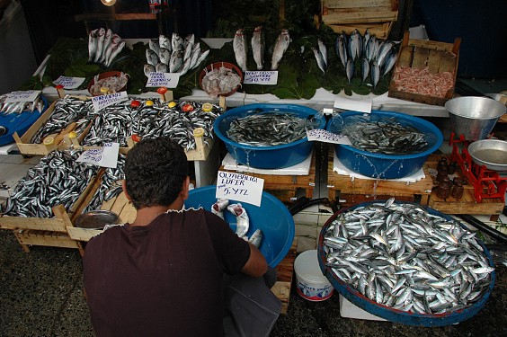 An den Fischständen neben der Galatabrücke gibt es nur frische Ware.
