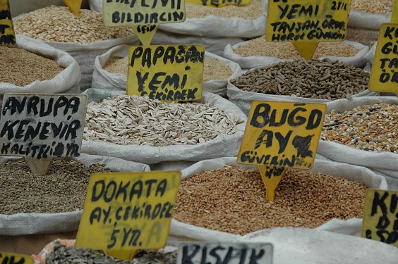 Hmmm lecker. Aber nur f&uuml;r Tiere.